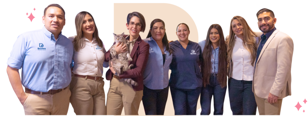 Equipo Besties abrazado y alegre, Zulma herrera se encuentra cargando a Mika una gatita de color blanco y gris de ojos azules